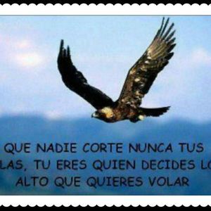 Meet your Posher, Yudith