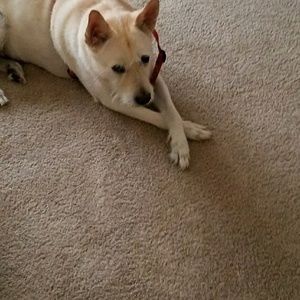 Meet your Posher, Wynter