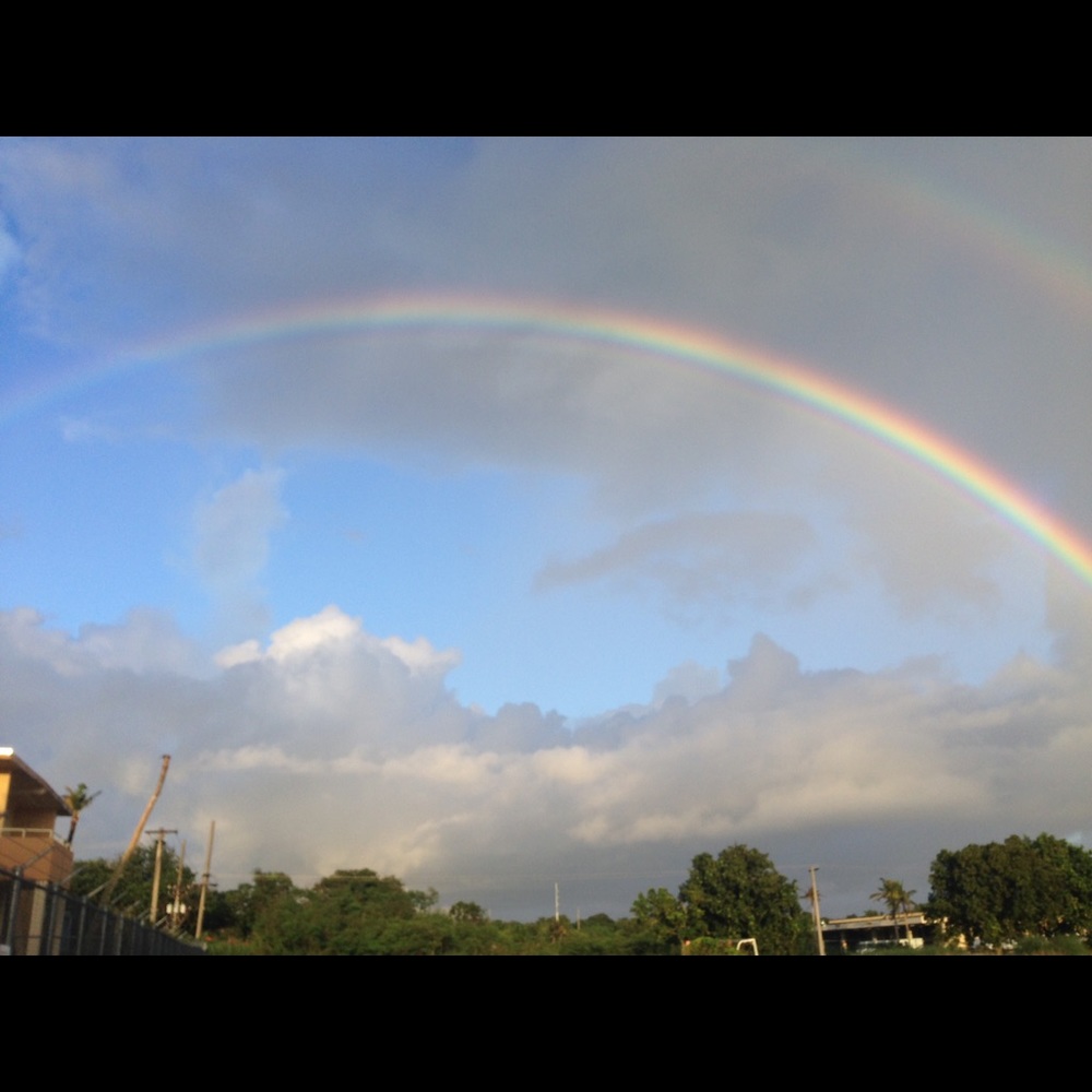 Meet your Posher, Luerse