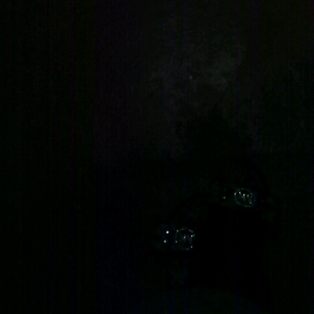 Meet your Posher, Cara