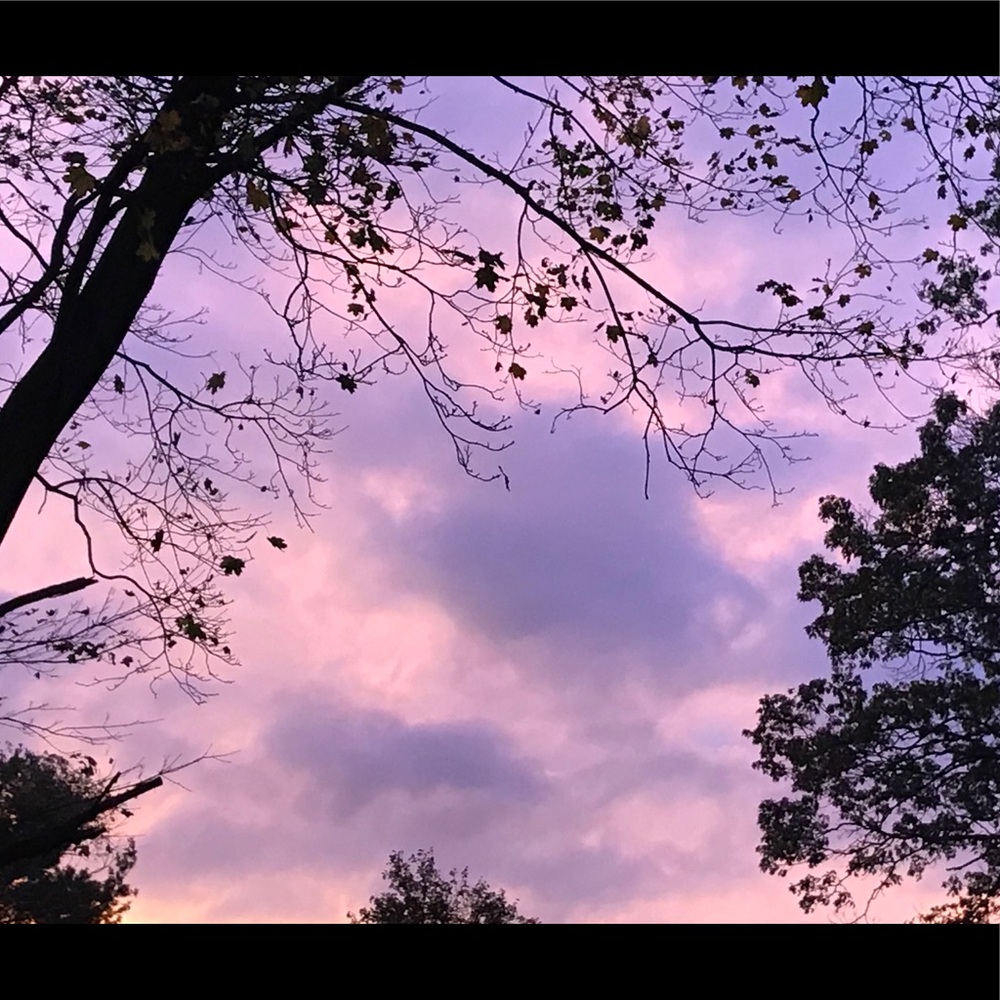 Meet your Posher, Patricia