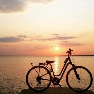 Meet your Posher, Rosann