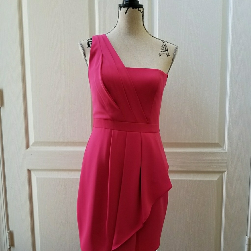 NEW! BCBG Pink Cocktail Dress