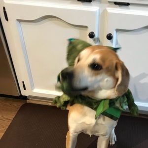 Meet your Posher, Susan