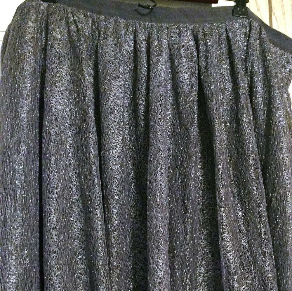 Silver circle skirt
