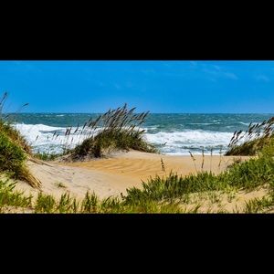 Meet your Posher, Suzette