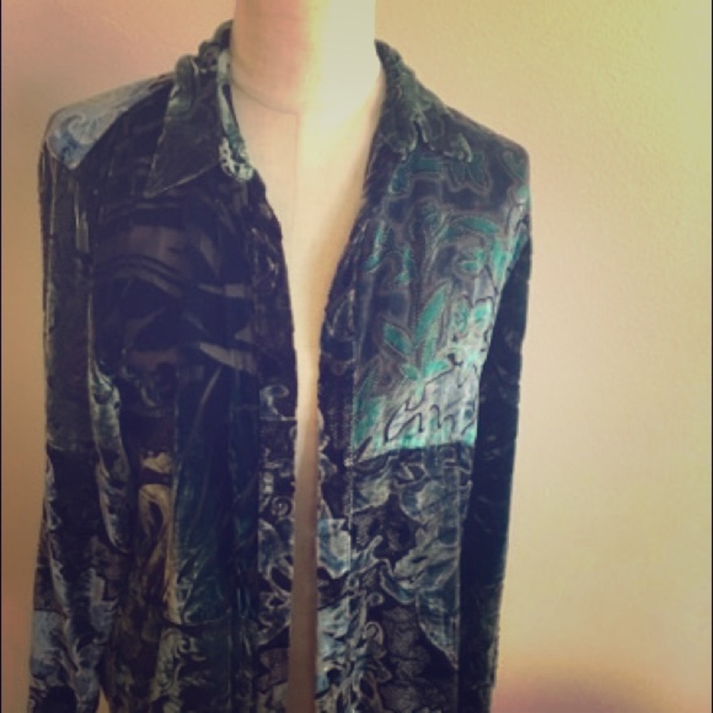 Chicos sheer velvet blouse