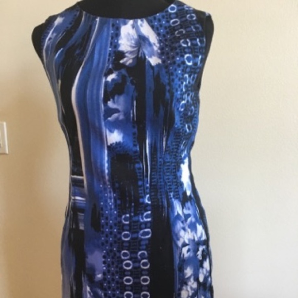 Shapely and sexy professional woman's dress