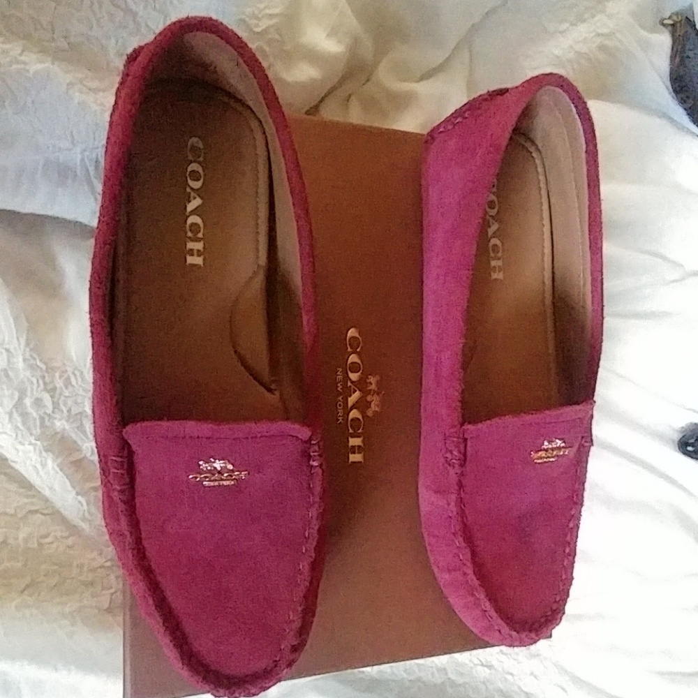 Coach Suede Driving Shoes