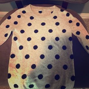 J.Crew Polka Dot Crewneck Sweater