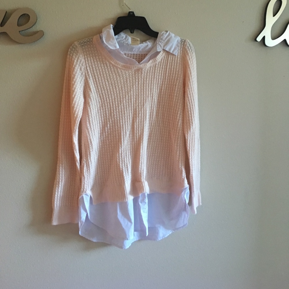 Pink collared shirt sweater