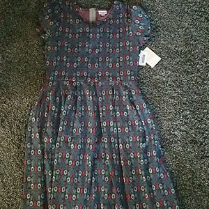 LuLaRoe Amelia dress