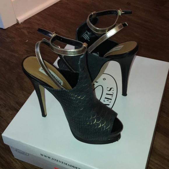 steve madden wexler