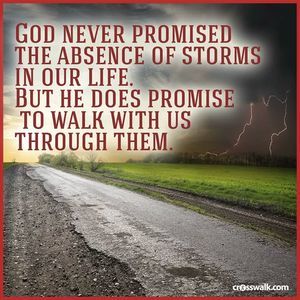 Meet your Posher, Belle yeux