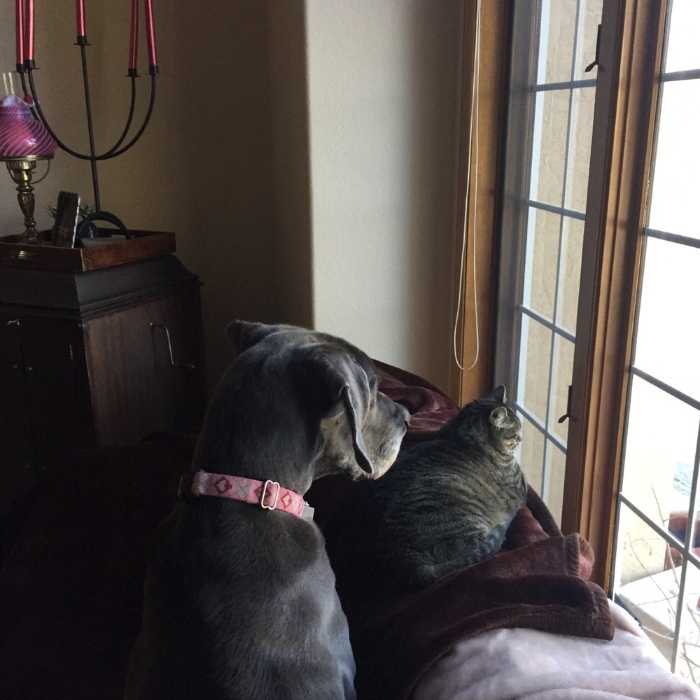 Meet your Posher, Michele