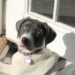 Meet your Posher, Kris