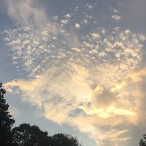 Meet your Posher, Kandise