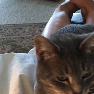 Meet your Posher, Cherie