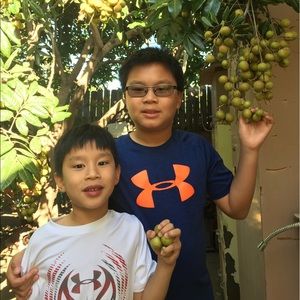 Meet your Posher, Quynh