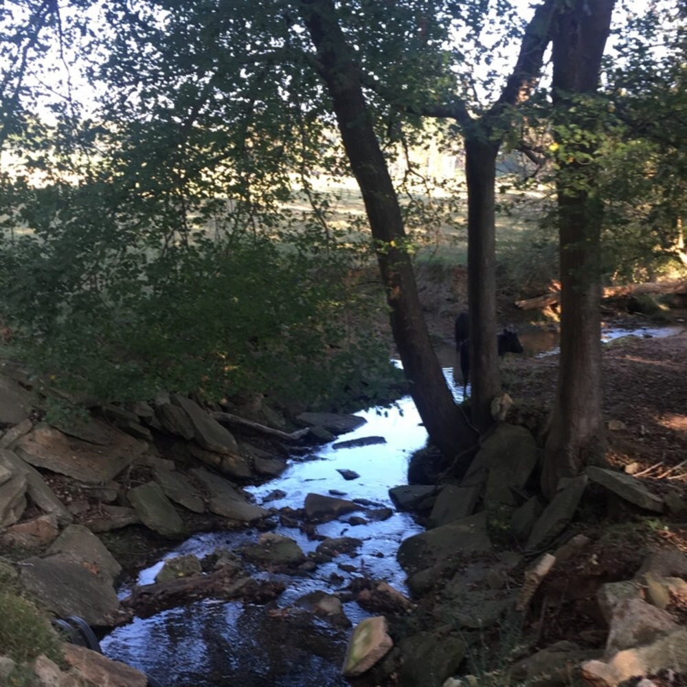 Meet your Posher, Ms O