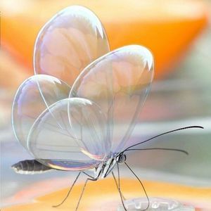 Meet your Posher, Brieanna