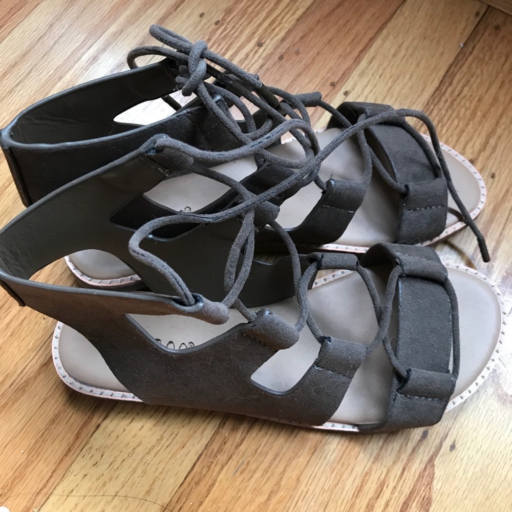 Olive gladiators