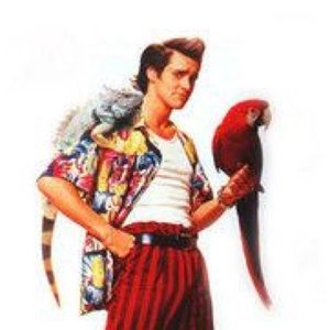 Meet your Posher, Thumper