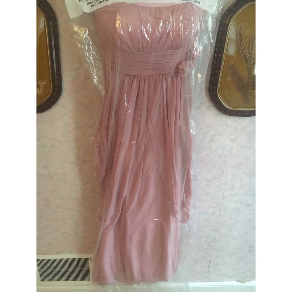 Hailey Adrianna Papell Dress from Lord and Taylor