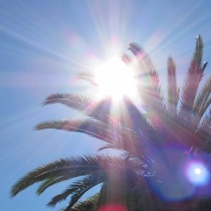 Meet your Posher, Eva