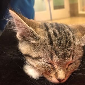 Meet your Posher, Jay