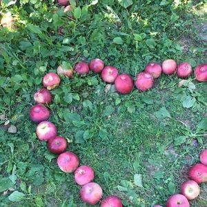 Meet your Posher, Hana