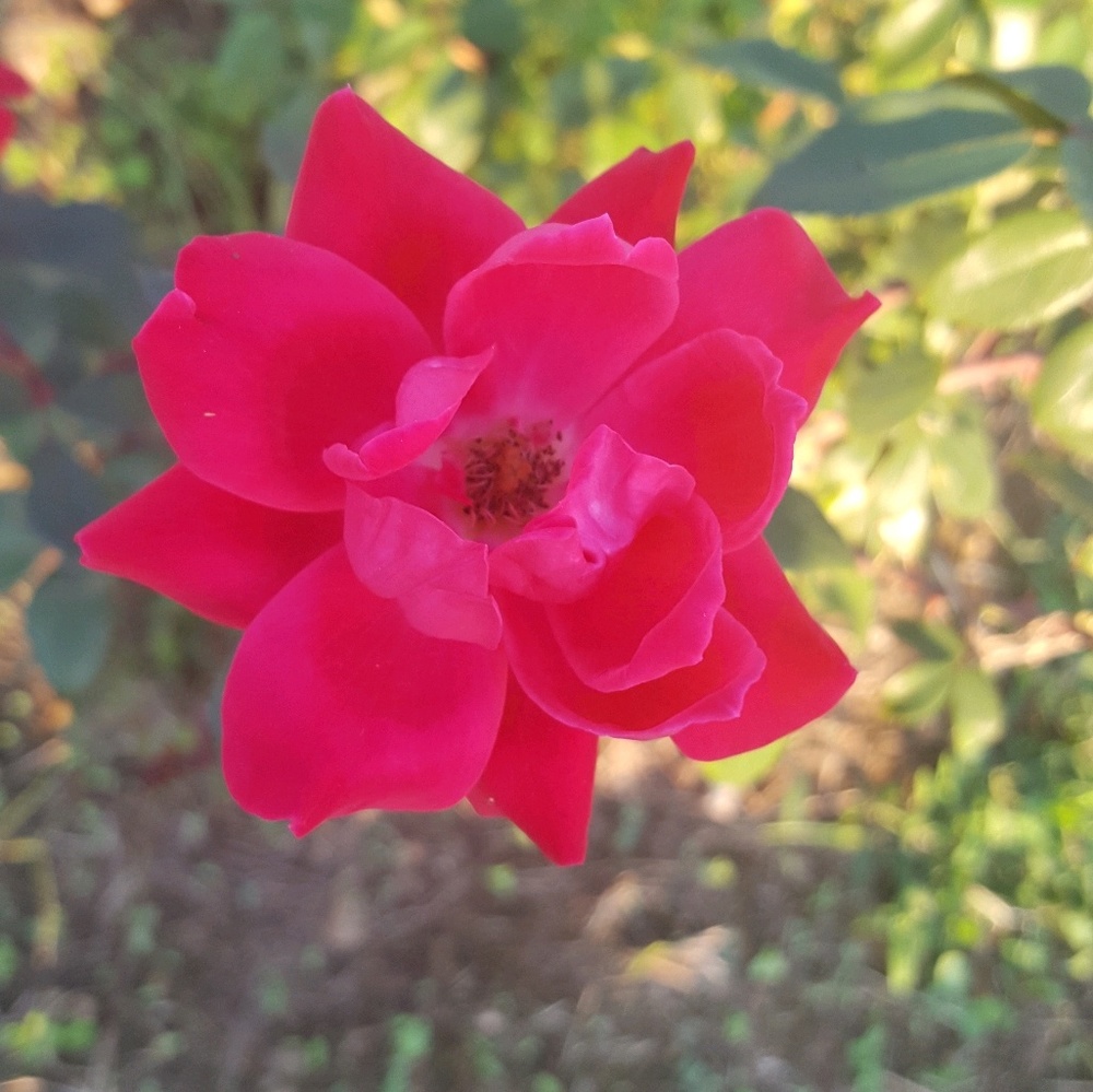 Meet your Posher, Ann