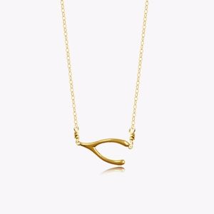 Wish Bone Necklace
