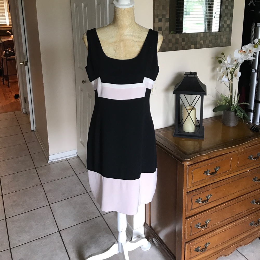 Abaete A-line Colorblock Shift Dress.