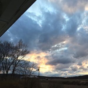 Meet your Posher, Abbie