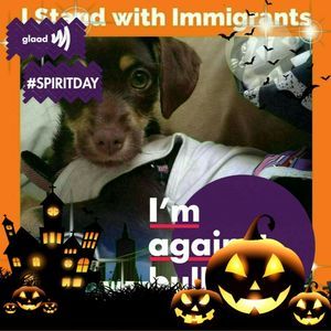 Meet your Posher, Eileen