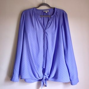 Periwinkle blouse with tiny dots