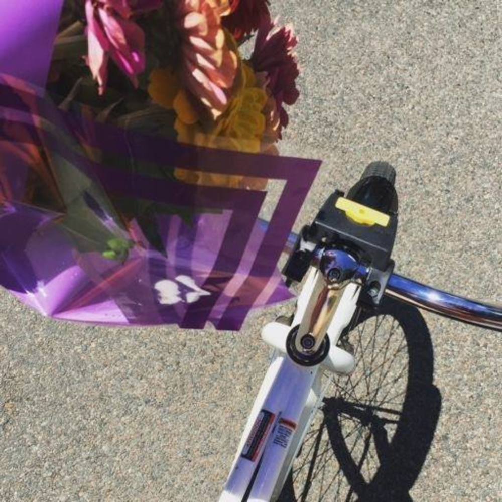 Meet your Posher, Kathleen