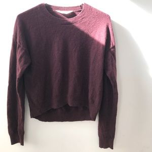 Maroon Cropped Everlane Cashmere Sweater (XS)