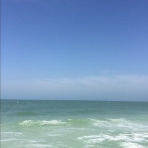 Meet your Posher, Wyatt