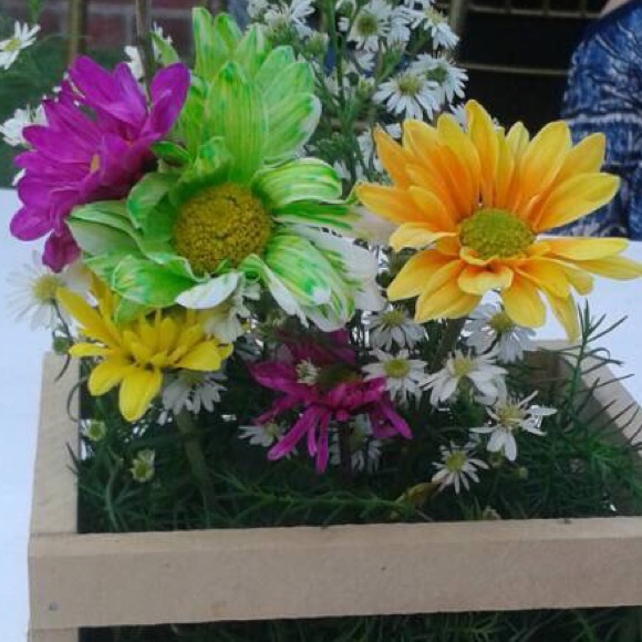 Meet your Posher, Gabriela - Picture 1 of 1