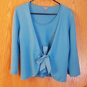 Ann Taylor Sweater Set