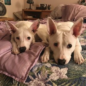 Meet your Posher, Shanna