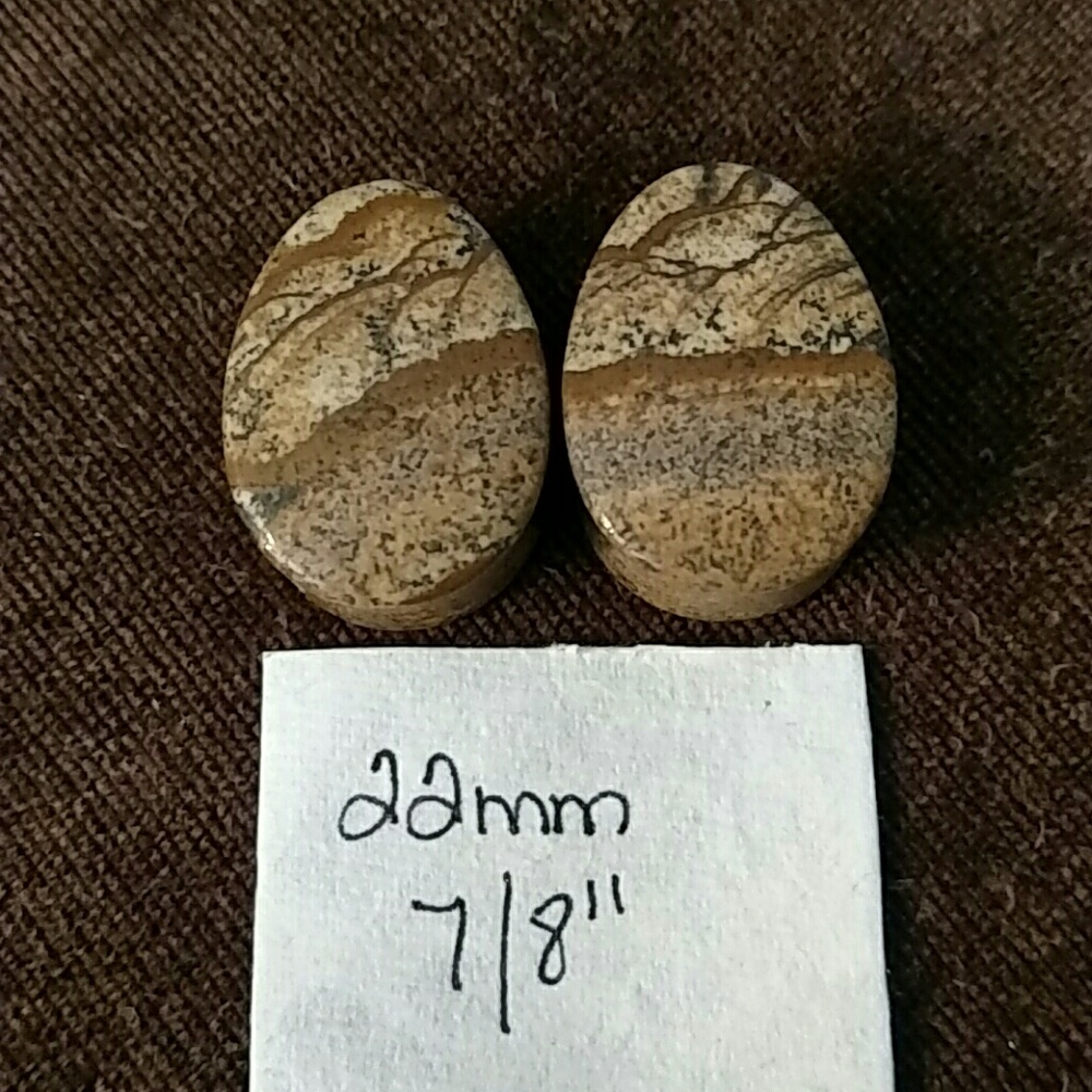 Picture Jasper natural stone plugs 22mm 7/8"
