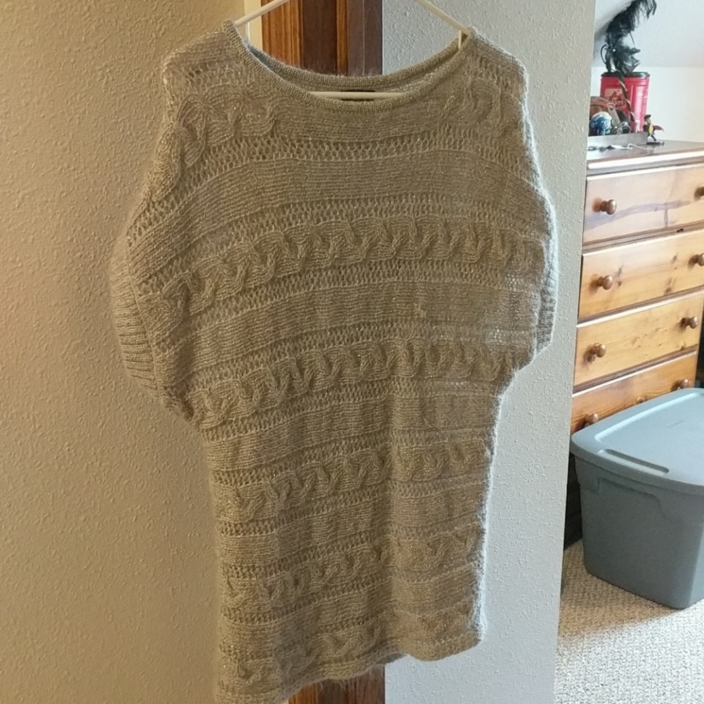 Express short sleeved sweater