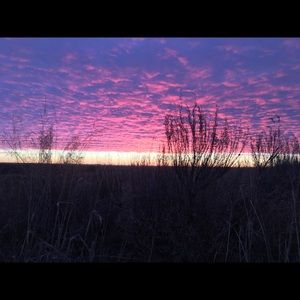 Reasonable offers and trades welcome!