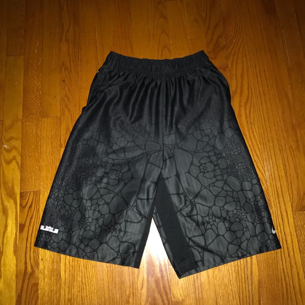 Nike Lebron Dri-Fit Shorts