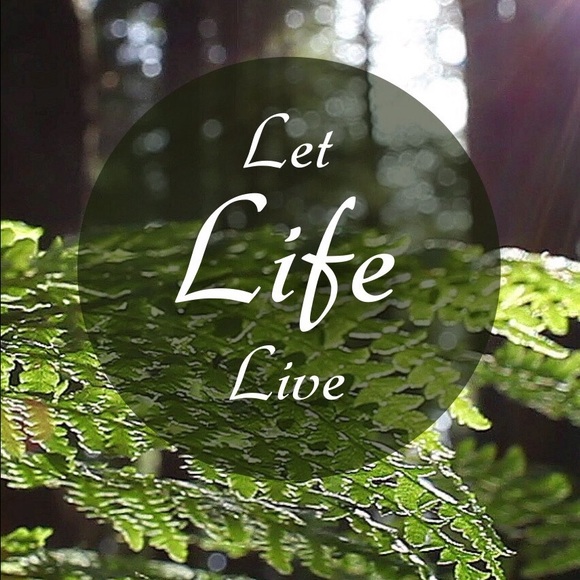 Meet your Posher, Aubrey - Picture 1 of 1