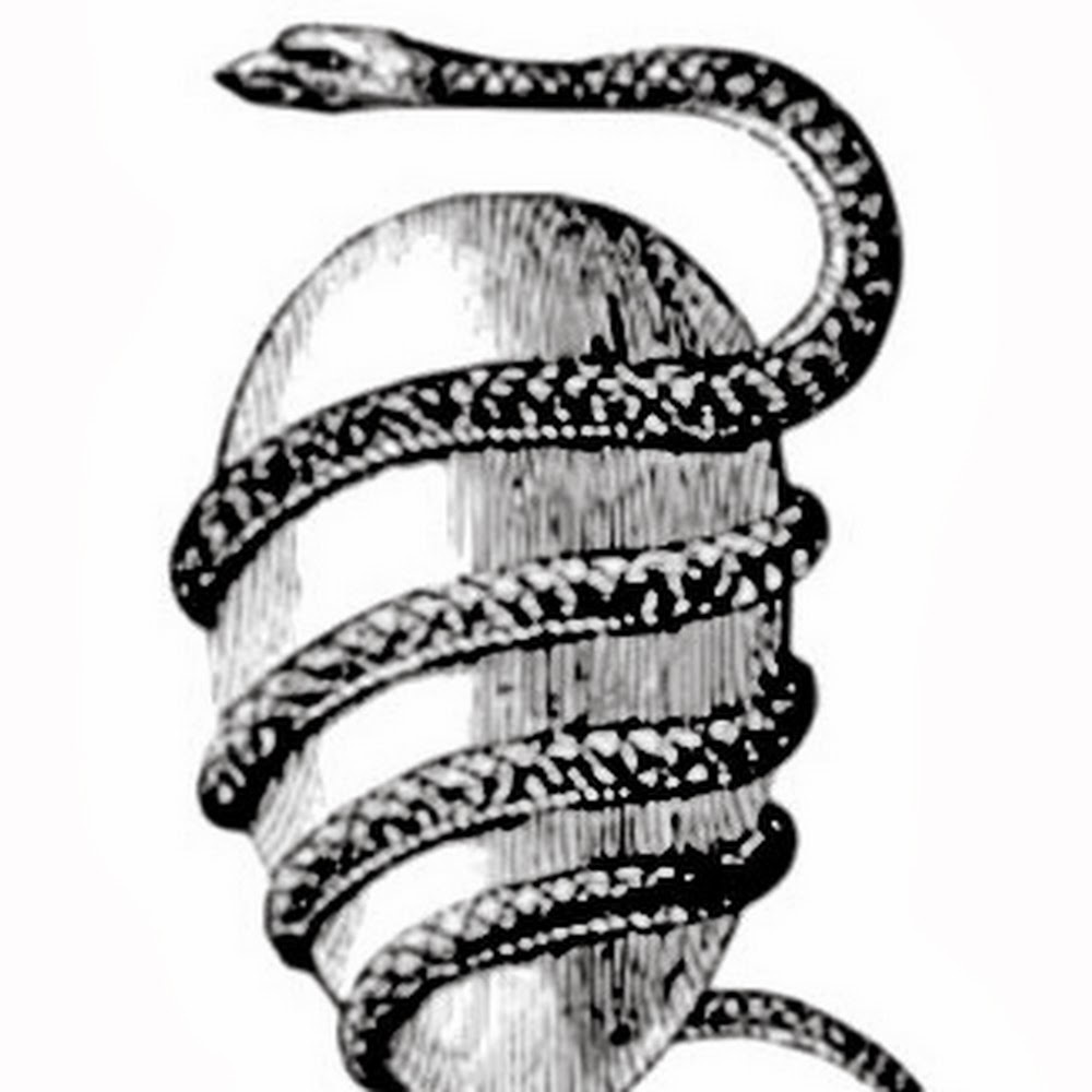 Meet your Posher, Ariana