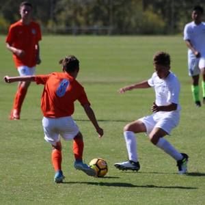 Meet your Posher, Jayden